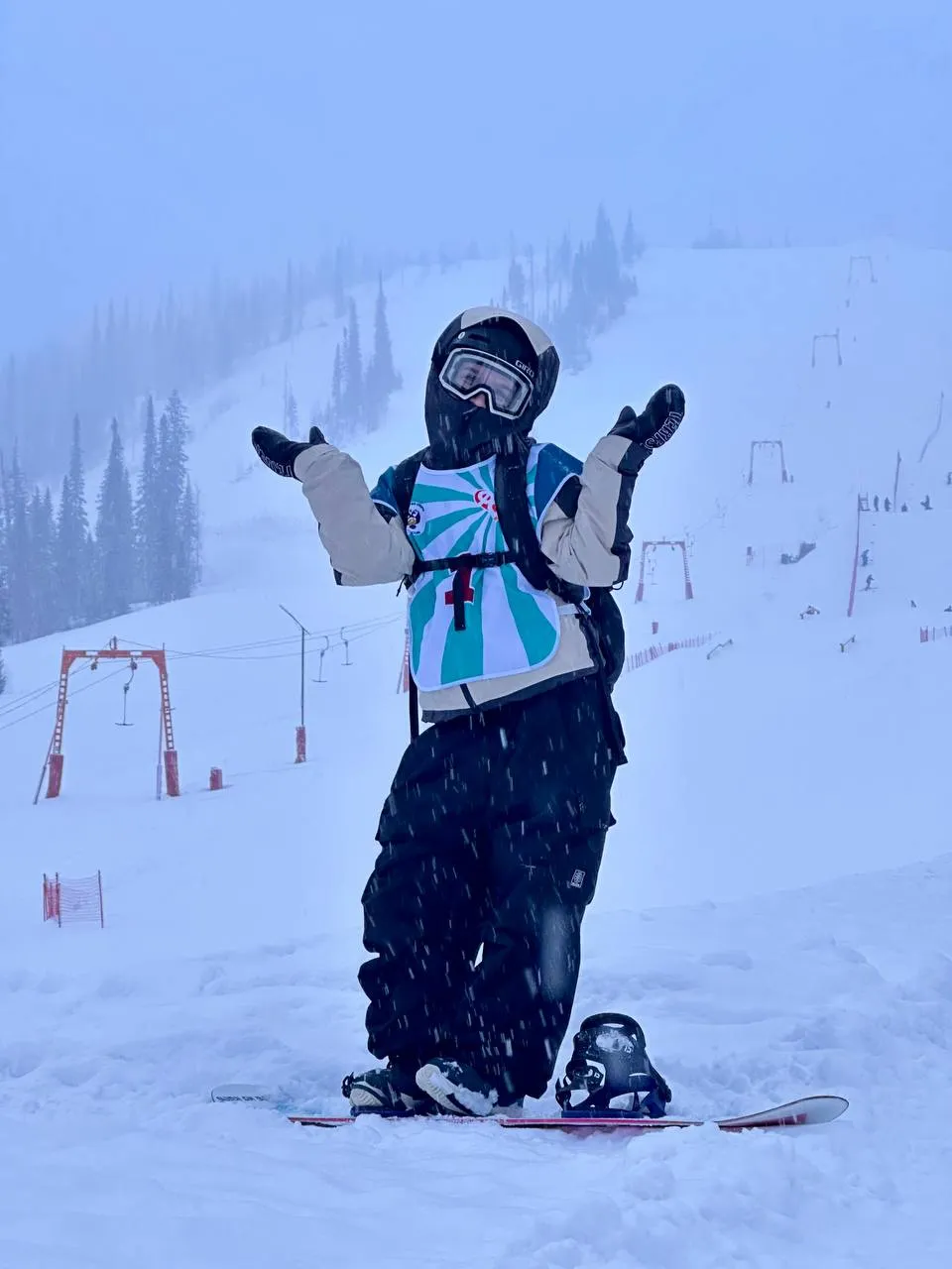 Анастасия Будович