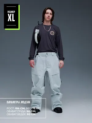 23/24 Штаны TERROR SIGNATURE серый