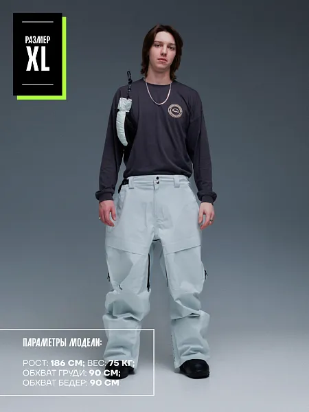 23/24 Штаны TERROR SIGNATURE серый